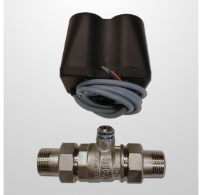 Electrovalvula Motorizada 230V. 1” Inox. F/F NC
